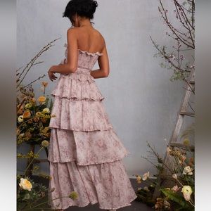 COPY - NWT- V. Chapman The Angelina Dress in Blush Bouquet